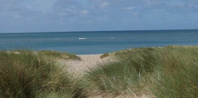 Le calme avant la tempête
